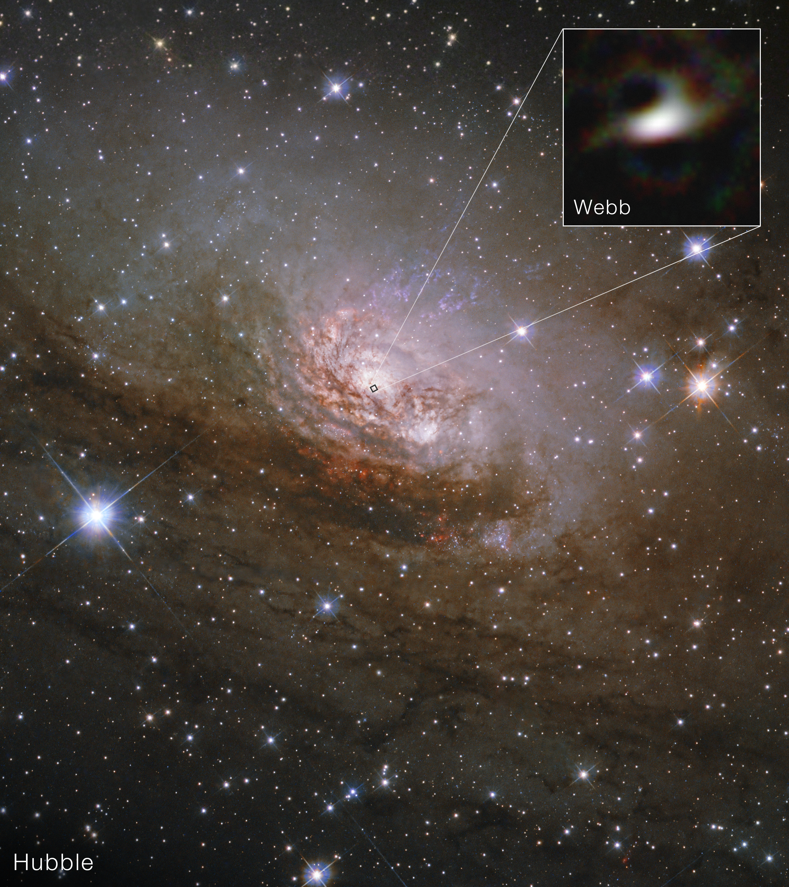Webb Reveals Dust Feeding Circinus Black Hole, Upending Core Emission Views