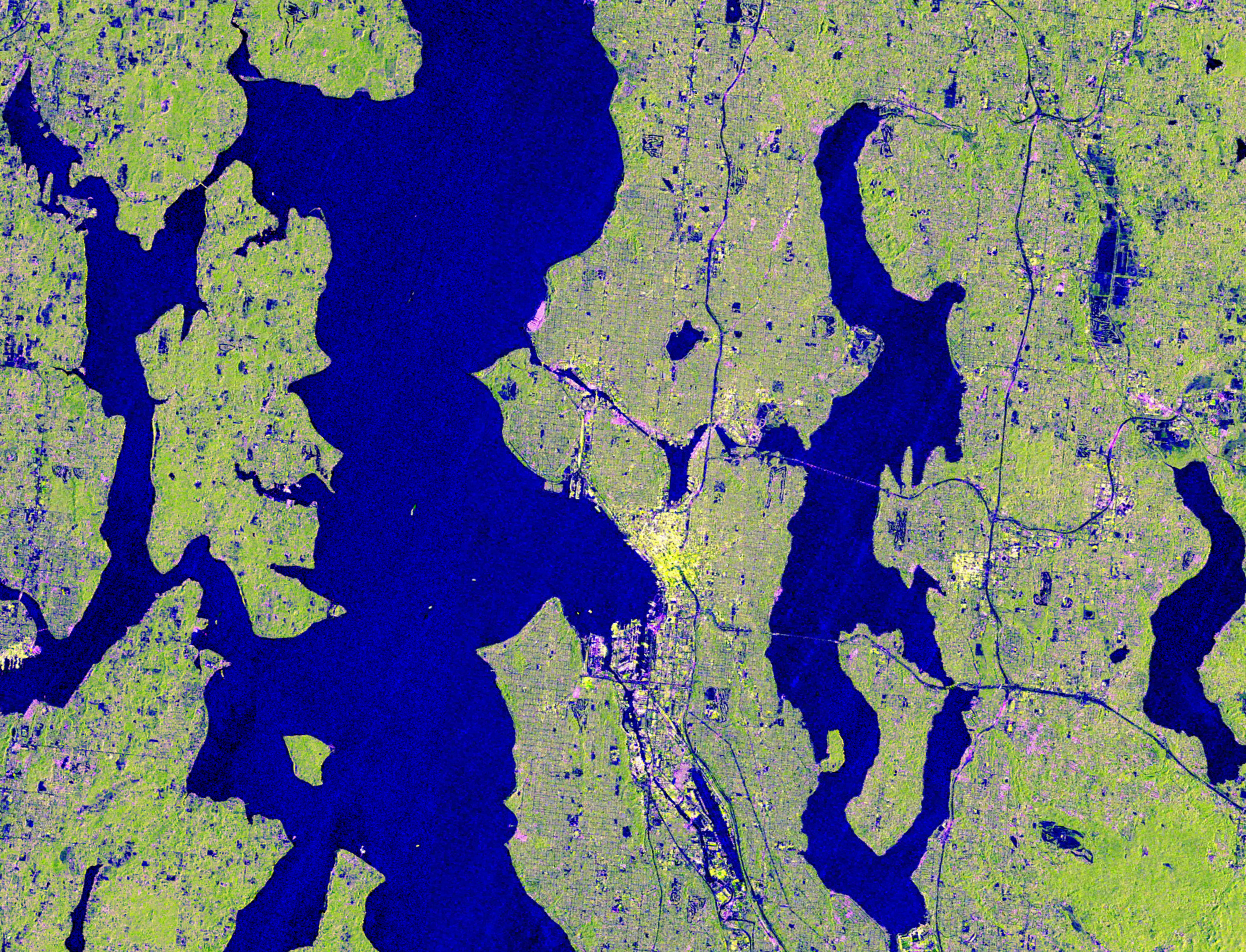 Cloud-Piercing NISAR Radar Maps Pacific Northwest