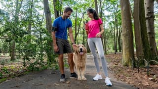 Dog ownership linked to 24% lower mortality risk, says longevity expert