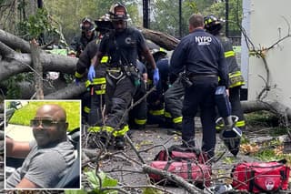 Beloved NYCHA Handyman Leighton Brown Killed by Falling Tree in Brooklyn Nor'easter