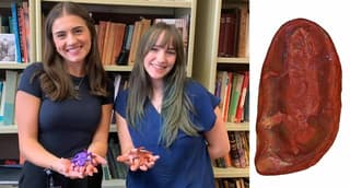 Student Paleontologists Name New 309-Million-Year-Old Amphibian After Their Mothers