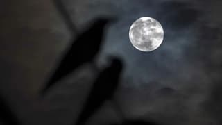 September's Harvest Moon Peaks with Saturn and Neptune in a Rare Sky Alignment