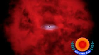 Webb’s Little Red Dots Reveal Rapid Black Hole Growth in the Early Universe