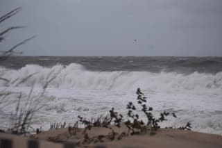Nor'easter Forces Full Cancellation of Oceans Calling Festival in Maryland