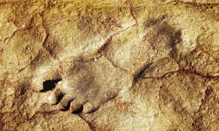 Ancient footprints rewrite early human migration in Arabia