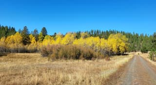 Daily Kos Community Highlights Autumn Nature and Art History in Latest Bluesky Roundup