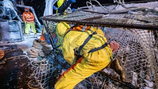 Discovery's 'Deadliest Catch' finale airs emotional tribute to Todd Meadows