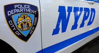 Nor'easter Kills NYCHA Worker in Brooklyn as City Faces Widespread Tree Damage