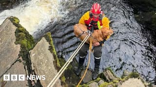 Rescue Operation Saves Dog from Precipice at Ingleton's Pecca Falls