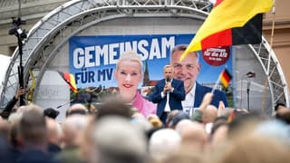 AfD's Radical Surge in Germany Fractures European Far-Right Alliances