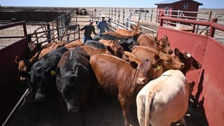 U.S. and China Detail $60 Billion Tariff Cut Lists, Favoring U.S. Agriculture and Chinese Consumer Goods