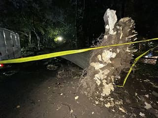 NYCHA worker Leighton Brown killed by tree in Brooklyn nor'easter