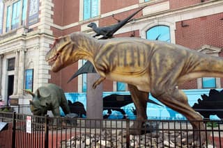 Philadelphia's Oldest Natural History Museum Shuts Doors Amid City Council Fight and Funding Offer