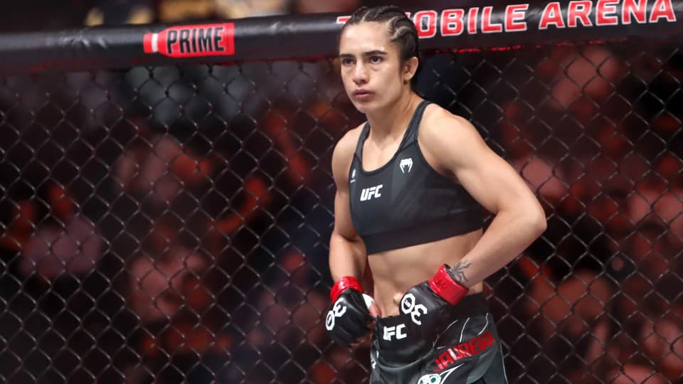 UFC Vegas 121 Bonuses Awarded Amidst Controversial Main Event and Medical Emergency