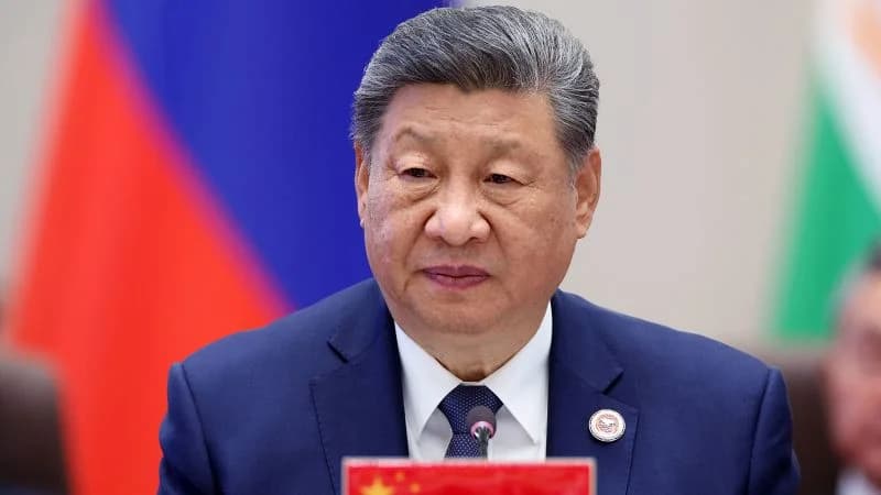 Xi's Washington Summit: AI Cooperation, Trade Truce, and the Rare Earths Leverage