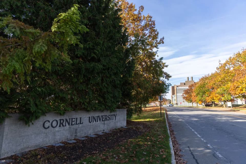 Cornell lawsuit alleges 2024 fraternity gang rape was met with essay-writing sanctions