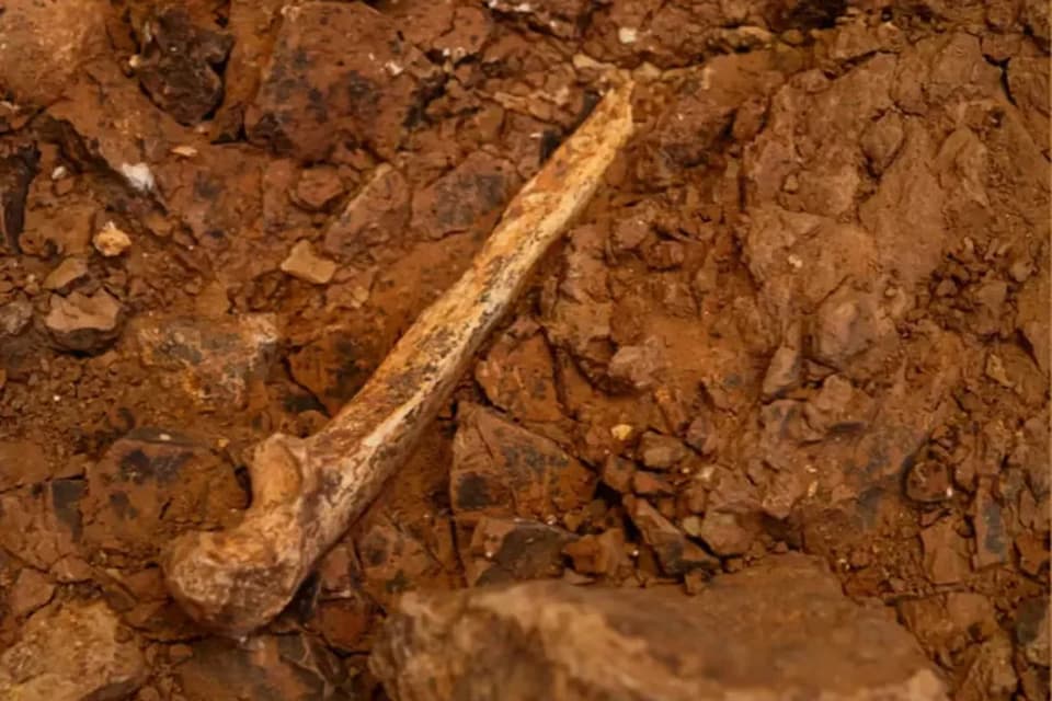 Spain's Gran Dolina finds suggest cannibalism among Europe's earliest humans