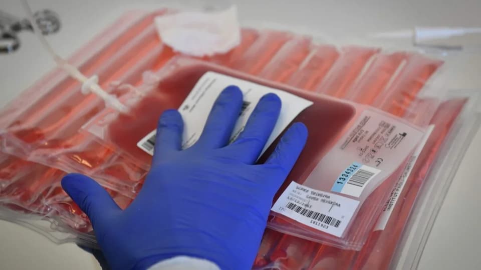 CAR T Cell Therapy Evolves: From Blood Cancer Success to Solid Tumor Challenges