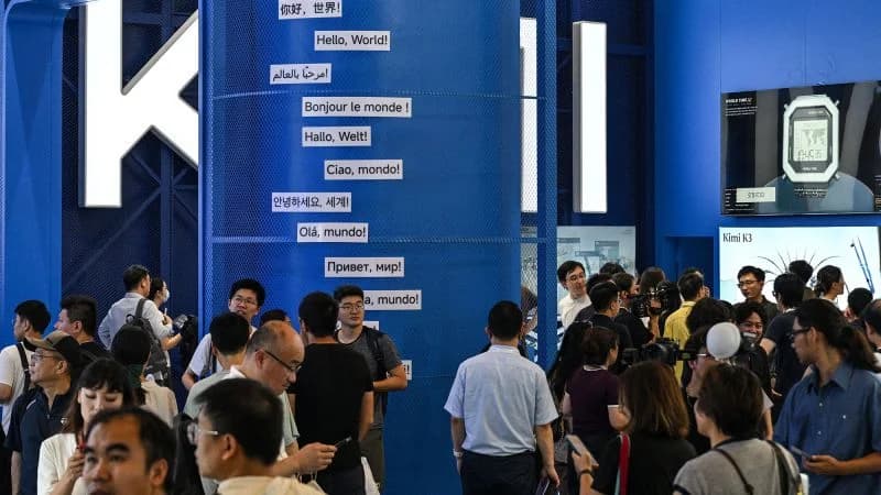 Global AI Divide: US Pushes for Alignment, China Wins on Cost and Access