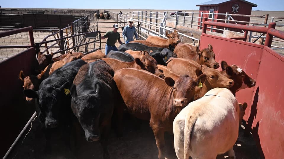 U.S. and China Detail $60 Billion Tariff Cut Lists, Favoring U.S. Agriculture and Chinese Consumer Goods