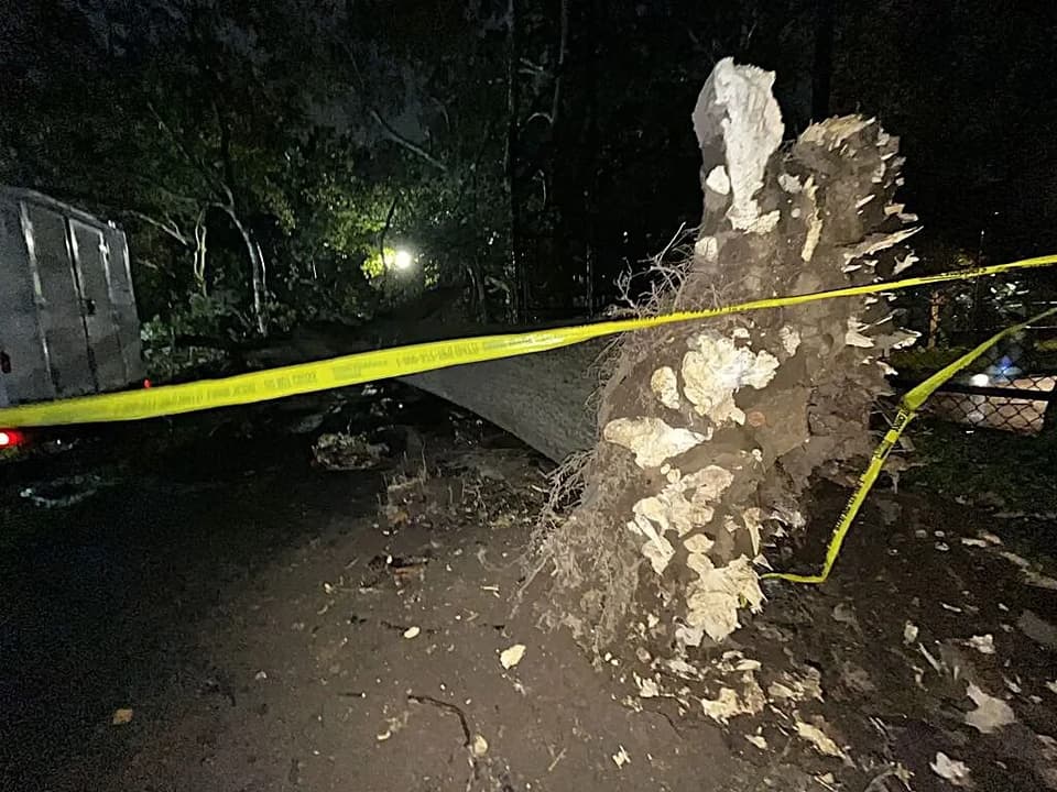 NYCHA worker Leighton Brown killed by tree in Brooklyn nor'easter