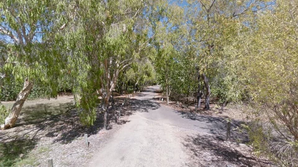 Teen bound to a tree and tortured in Townsville; 11 arrested in Australia case