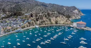 Two Dead After Small Plane Crashes on Catalina Island, Investigators Say
