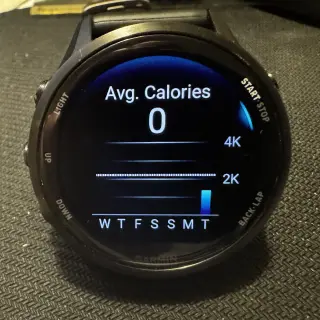 Garmin Calorie Counts Score Worst in Lab Wearables Test