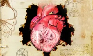 Leonardo’s Heart Sketch Unlocks New Insights Into Heart Disease Risk