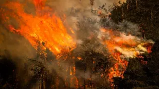UN: Very strong El Niño to endure into 2027, boosting heat and extreme weather