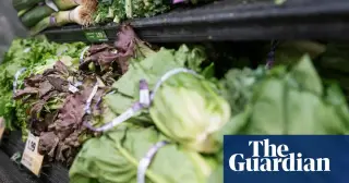Cyclospora Outbreak Reaches 15 States, CDC Confirms Expansion