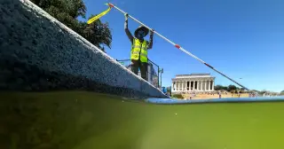 Reflecting Pool facelift balloons to $16 million amid delays and algae