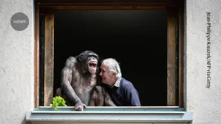 Tickles Across Species: Ape and Human Laughter Share a Shared Rhythm