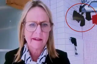 NZ councilor joins meeting from bathroom with laundry in view