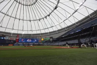 Rays and Guardians Finalize ALCS Rosters, Featuring Rasmussen and Griffin