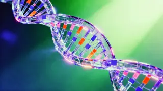 DNA Doodling: Enzymes Write Long DNA Strands Without Templates