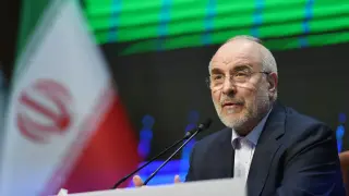 Iran rejects US claim unfrozen assets will fund American farm purchases