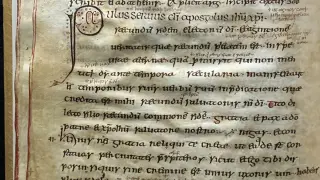 Parchment Clues Pinpoint 3,500 Years of Sheeppox Virus Evolution