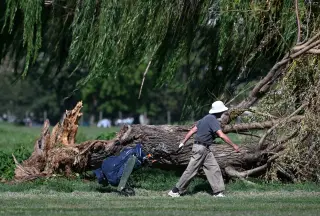NPS to Cut 500+ Trees at East Potomac Golf Links Amid Trump Redesign Dispute