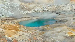 Fire Amoeba Shatters Heat Record for Complex Life in California Volcanic Springs