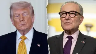 Trump lashes out at Schumer’s election task force, calls it voter suppression