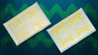 Bacteria-Powered Transistors Create Slow-Mood Living Circuits