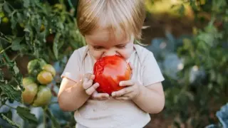 Six science-backed strategies to help picky eaters embrace vegetables