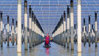 Solar Power Overtakes Nuclear Globally as Costs Plunge and Adoption Surges