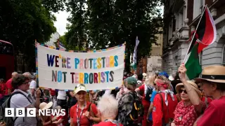 UK Supreme Court to hear challenge to Palestine Action ban