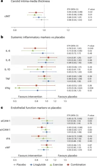 Exercise drives vascular health during weight-loss maintenance; adding liraglutide offers no extra vascular benefit