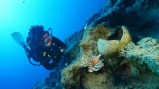 Bronze Age Wreck Found Off Turkey May Be World's Oldest