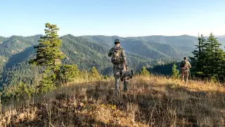 Montana hunter survives bear attack, drives himself home for treatment