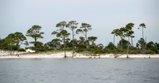 Calm Beaches, Hidden Currents: Nolan Wells and Horn Island's Risky Waters