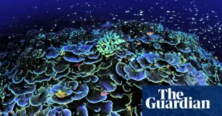 Hidden Cities of the Deep: life around vents and the race to mine the ocean floor